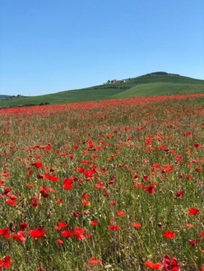 Agriturismo Poggio Tobruk Pienza